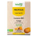 Gommes BIO - Gorge - Ârome citron - 24 gommes