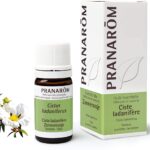 Pranarom - Huile essentielle 100% pure et naturelle - Ciste ladanifère - Cistus ladaniferus - 5ml