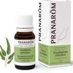 Pranarom - Huile essentielle 100% pure et naturelle - Eucalyptus citronné - Eucalyptus citriodora - 10ml