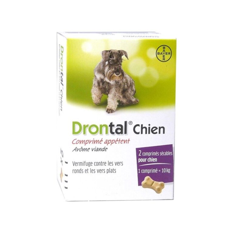 Drontal Chien - Comprimé Appétent - Boite de 2