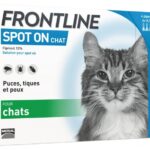 Frontline - SPOT ON CHAT - 4 pipettes de 0,5ml