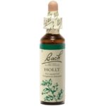 Fleurs de Bach - Holly Elixir Floral - 20ml
