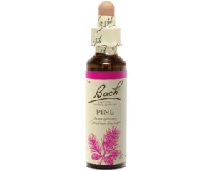 Fleurs de Bach - Pine Elixir Floral - 20ml