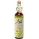 Fleurs de Bach - Clematis Elixir Floral - 20ml