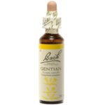Fleurs de Bach - Gentiane Elixir Floral - 20ml