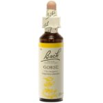 Fleurs de Bach - Gorse Elixir Floral - 20ml