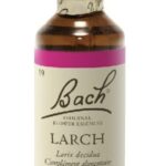 Fleurs de Bach - Larch Elixir Floral - 20ml