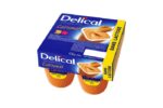 Delical - Crème dessert HP HC sans lactose goût caramel