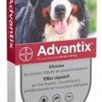 Advantix - Grand Chien 40 à 60 kg 6 Pipettes