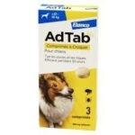 AdTab - 900mg de Lotilaner Antiparasitaire Interne Chien de +22 à 45kg - 3 Comprimés à Croquer