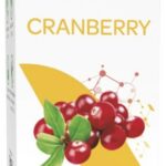 Arkopharma - Arkogélules Cranberry 45 Gélules