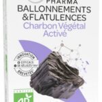 Arkopharma - Arkogélules Charbon Végétal Activé Bio 80 Gélules