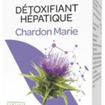 Arkopharma - Arkogélules Chardon Marie Bio 45 Gélules