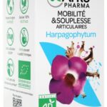 Arkopharma - Arkogélules Harpagophytum Bio 45 Gélules