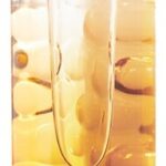 Caudalie - Eau Fraîche Soleil des Vignes 50 ml