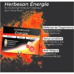 herbesan energie 30 p98760 g 3 fr