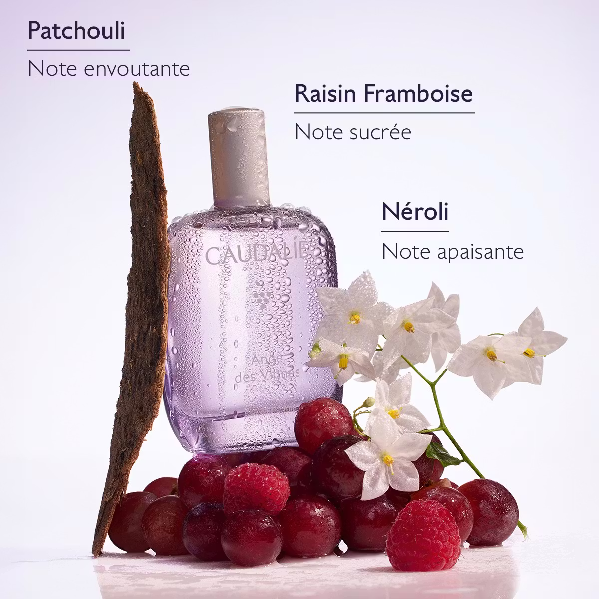3 fresh fragrance adv ingredients caudalie fr